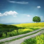 Landscape by Bess Hamiti Canva Getty Images