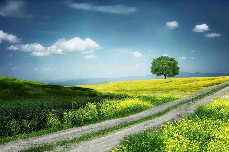 Landscape by Bess Hamiti Canva Getty Images