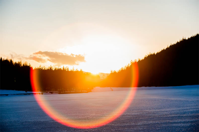 Lens Flare by Sazak Canva Getty Images