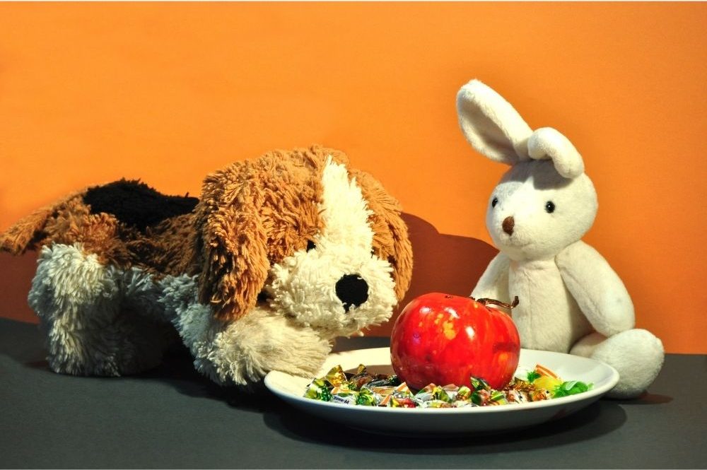 Still life by kn15 Canva Getty Images