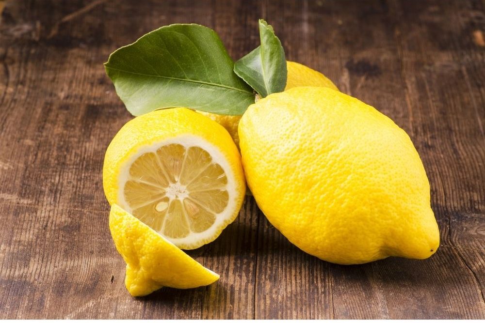 Still life by luigi giordano Canva Getty Images