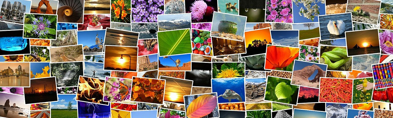 Photography for kids