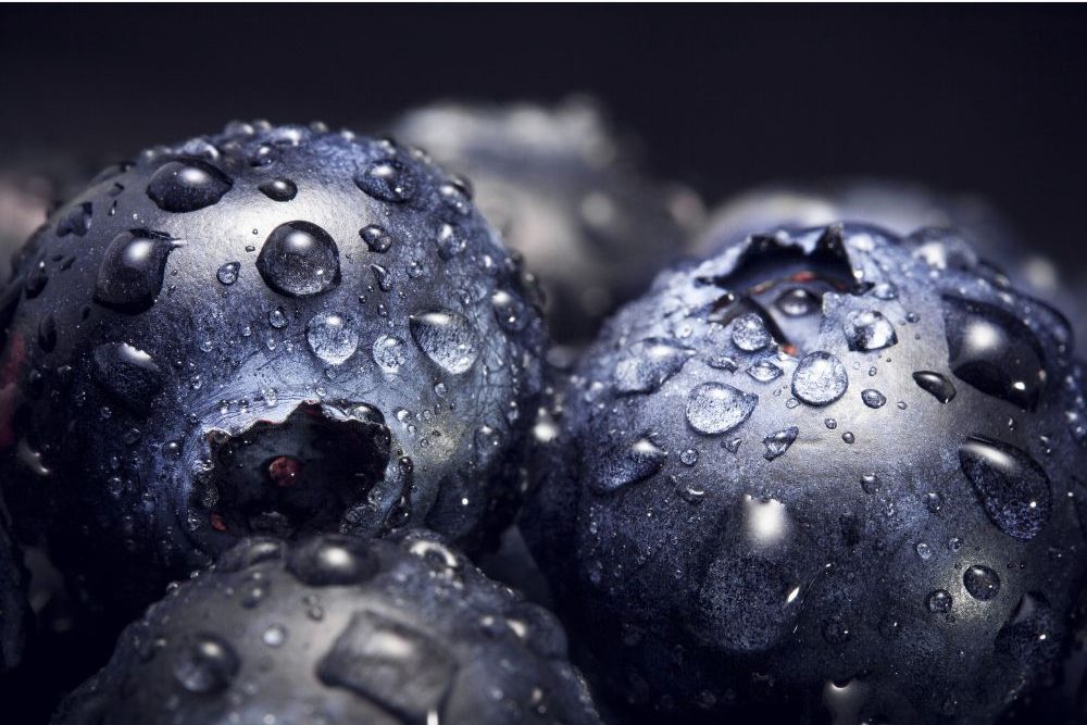 Closeup of fresh blueberries - Pexels--2286921 - Canva - Pixabay