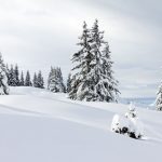 Snow Landscape - dennisvdw - Canva - Getty Images