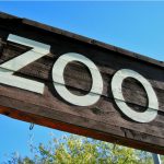 Zoo - filo - Canva - Getty Images