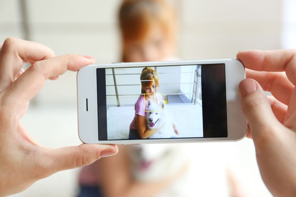 Taking Photo of Girl and Samoyed Dog - pixelshot - Canva